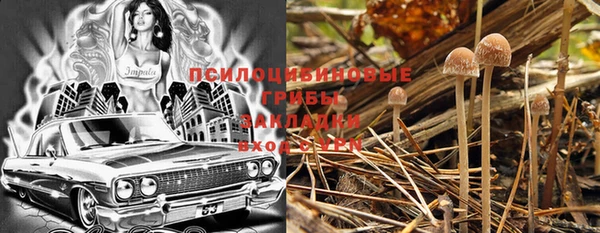 стаф Осташков