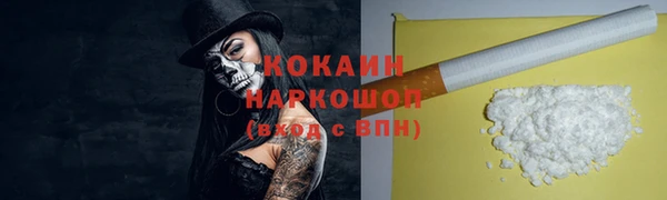 стаф Осташков