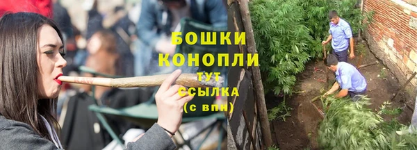 ALPHA PVP Осинники